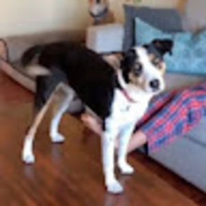 Meet your Posher, Danny